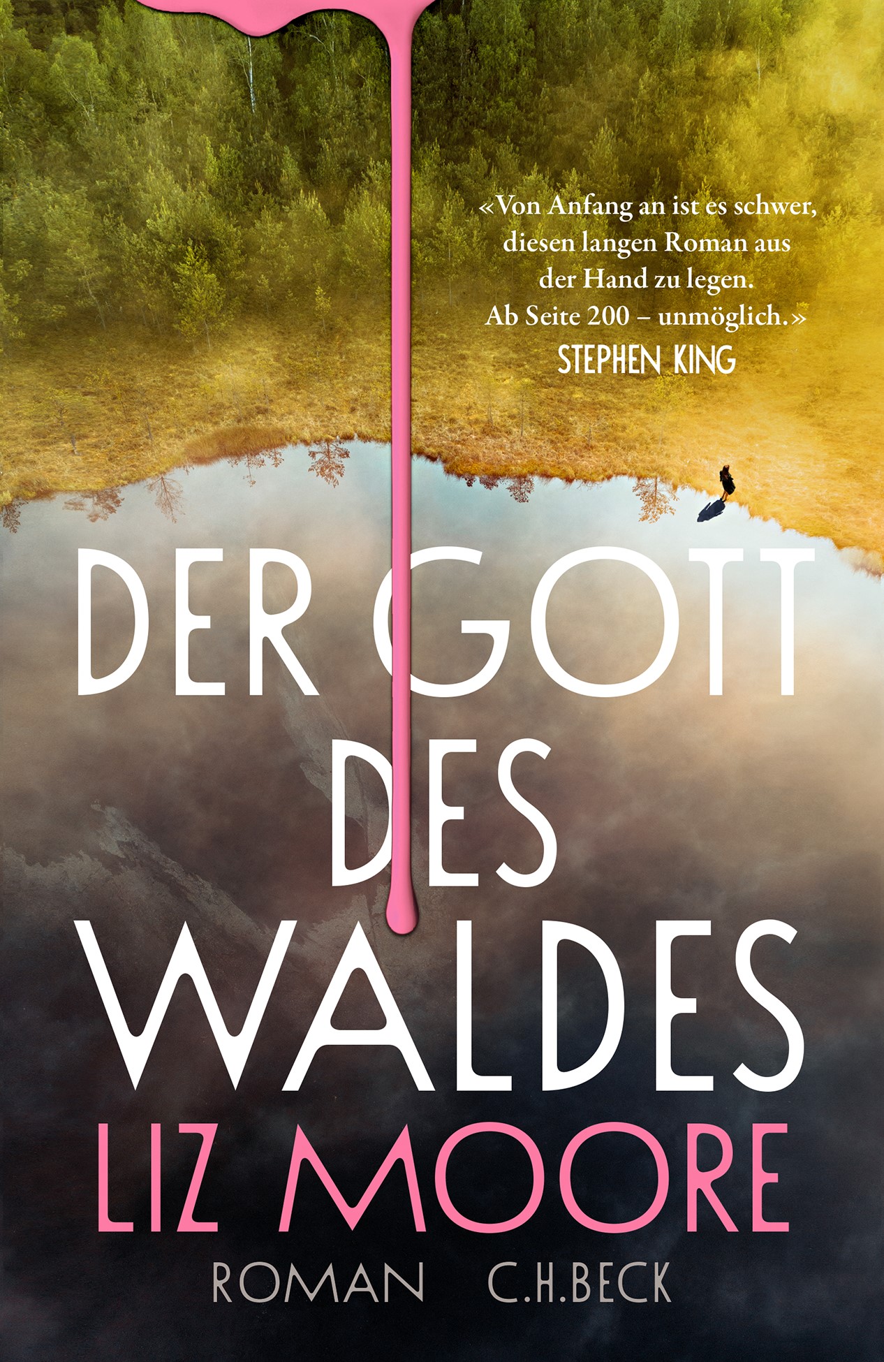Liz Moore: Der Gott des Waldes. Aus dem Englischen von Cornelius Hartz. C.H.Beck 2025